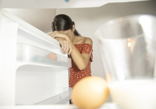 Is it Worth Repairing a 10-Year-Old Refrigerator?